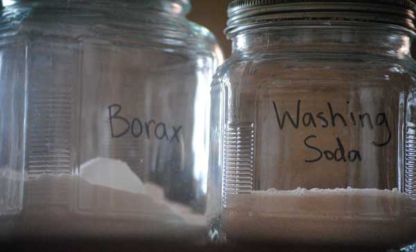 is borax effective for bed bugs