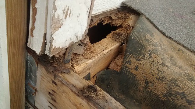 wood